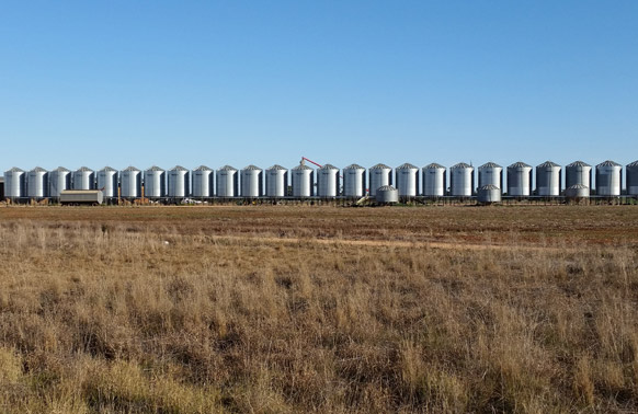 Silos in a paddock.