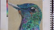 Dayrit, Kristine - Hummingbird
